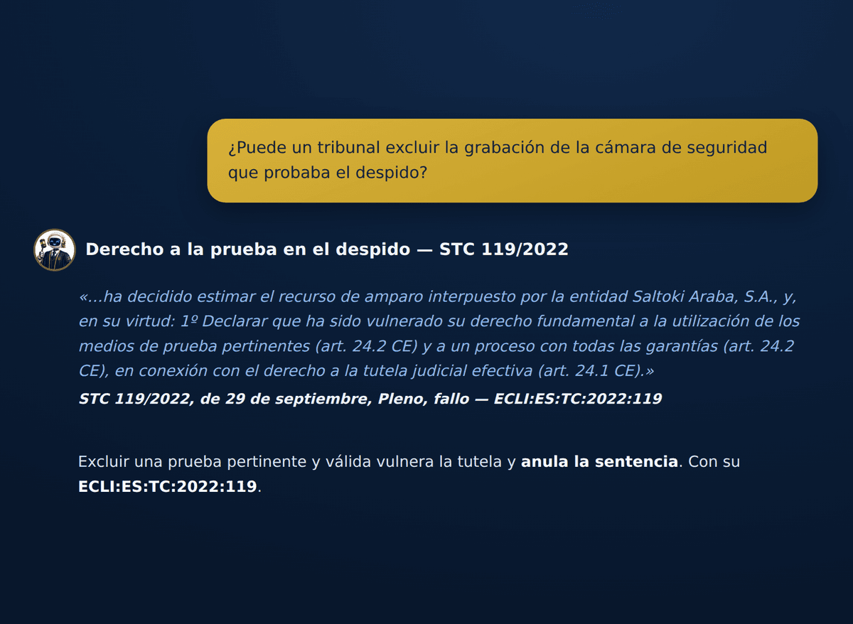 Consulta sobre el derecho a la prueba en un despido respondida con el fallo literal de la STC 119/2022 y su ECLI